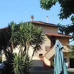 Orsi * Lucca
