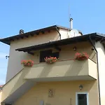 Orsi Lucca