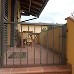 Orsi *