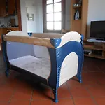 Orsi