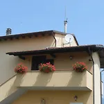 Orsi Lucca