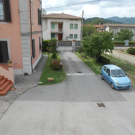 Orsi