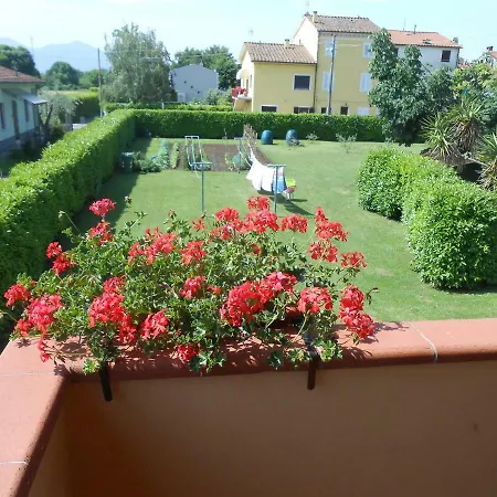 Orsi