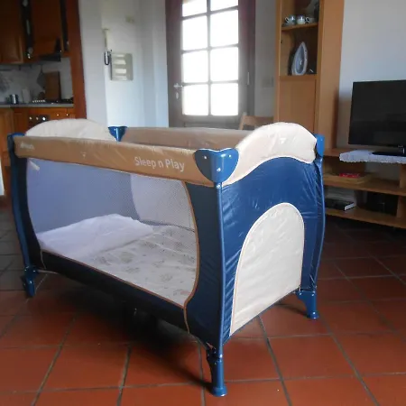 Orsi